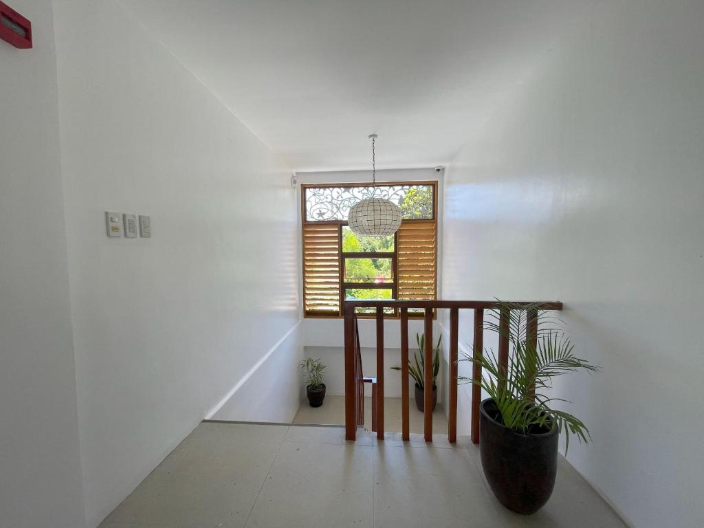 Fotografie z fotogalerie ubytování Azul de Panglao Hotel v destinaci Panglao