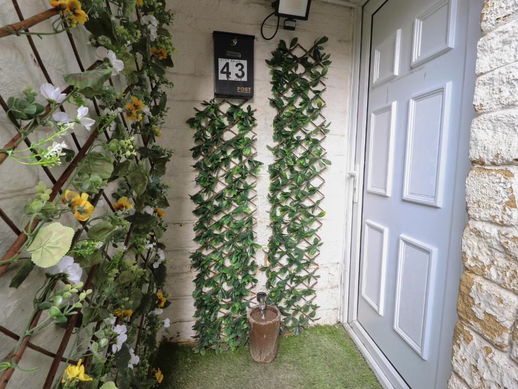 una puerta con un montón de plantas en una pared en Basement Flat 43, en Keighley