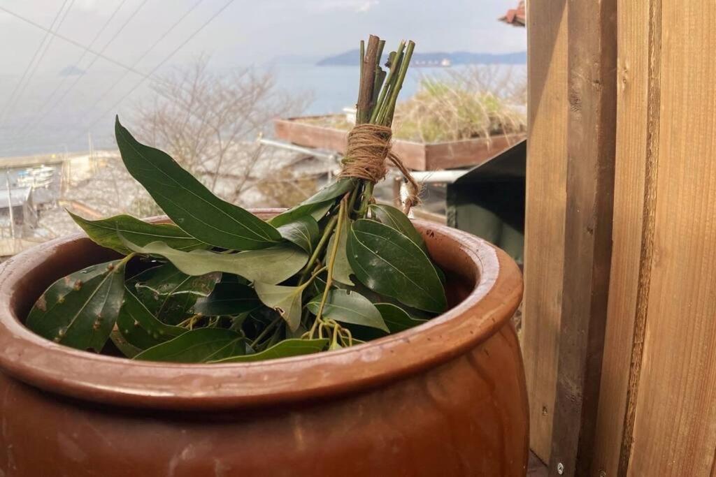 Fotografie z fotogalerie ubytování Lemon tree hotel v destinaci Higashiura