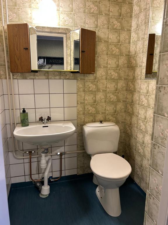 Koupelna v ubytování Hestra Guesthouse