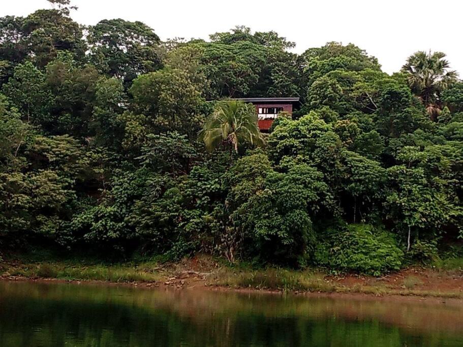 una casa en los árboles junto a un cuerpo de agua en Cozy Lake House Accommodation for 10 to 15 guests 