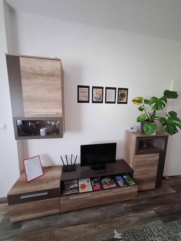 Televízia a/alebo spoločenská miestnosť v ubytovaní Aréna Apartman