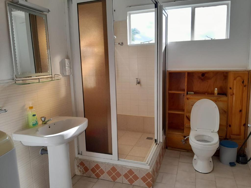 a bathroom with a shower and a toilet and a sink at Le Residence Blue Bay in Blue Bay