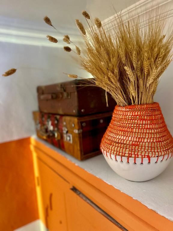 Fotografie z fotogalerie ubytování Riad Lauriers Blancs v Marrákéši