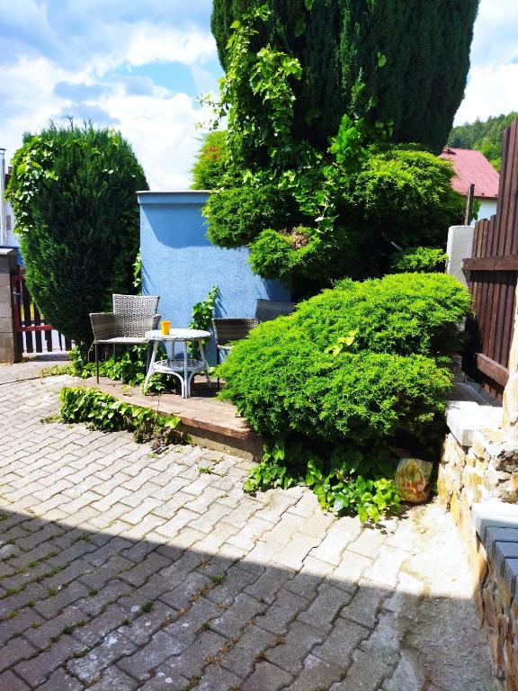 Příroda nedaleko apartmánu