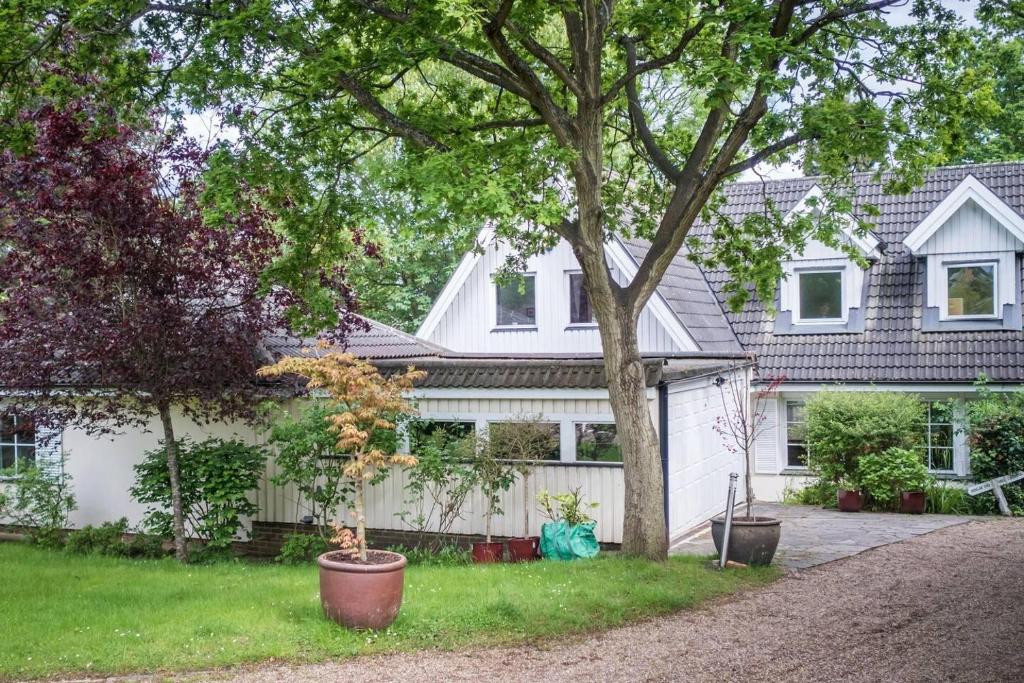 a white house with a tree in the yard at Large 3 bed house with separately bookable studio in Kingston upon Thames