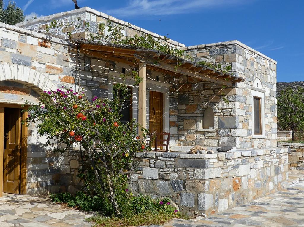 a stone house with a plant in front of it at Traditional stone-built cottages Azalas in Moutsouna Naxos
