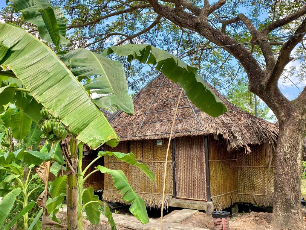 Zahrada ubytování Homestay Mekong Can Tho