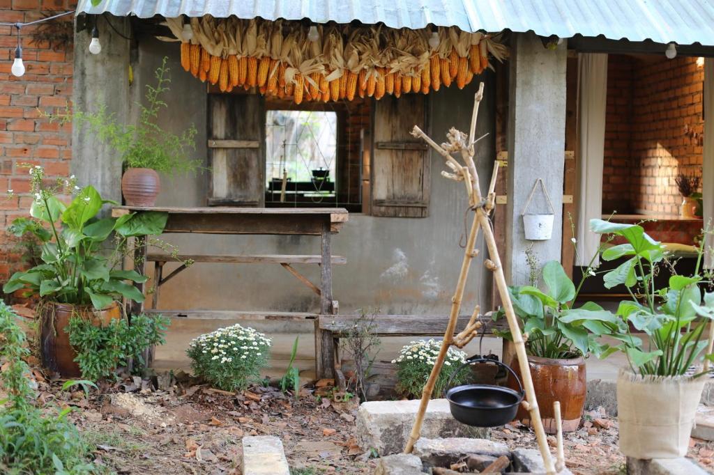 a house with a bench and a window and plants at hugs stay nam ban in Hoat
