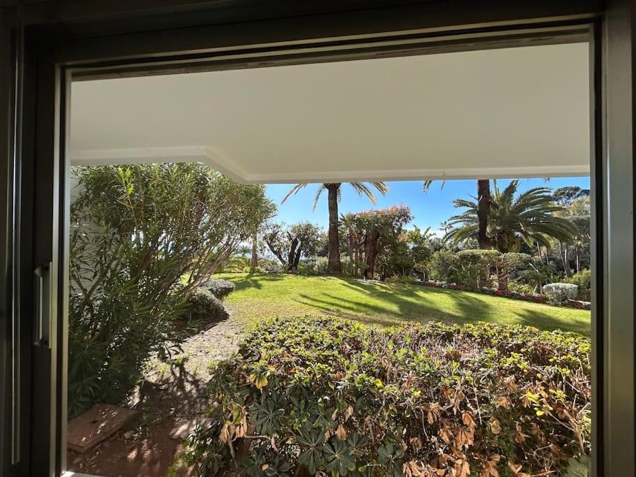 a view of a yard from a window at Studio golfe-juan piscine plage privée tennis in Vallauris