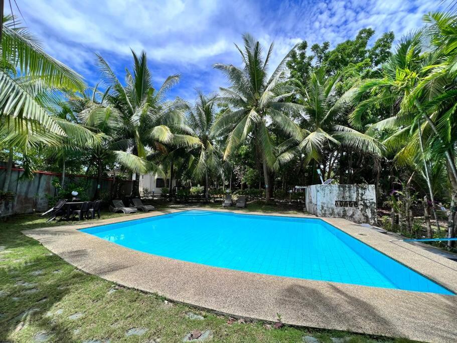 a blue swimming pool in front of some palm trees at Panglao Cove Resort_Main House in Dauis