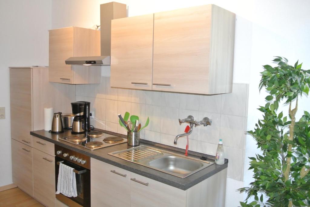 eine Küche mit einer Spüle und einer Arbeitsplatte in der Unterkunft Apartmondo Ferienwohnungen in Remscheid