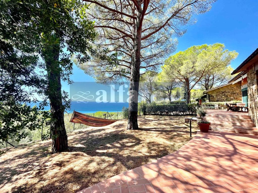 a hammock between two trees in a yard at Villa PIEMONTE, 3 camere, 3 bagni, e splendida vista mare! by Alfareal in Castiglione della Pescaia