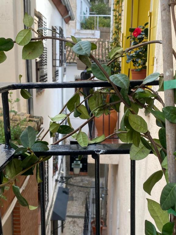 Apartamento Home Stagging New Life - 6