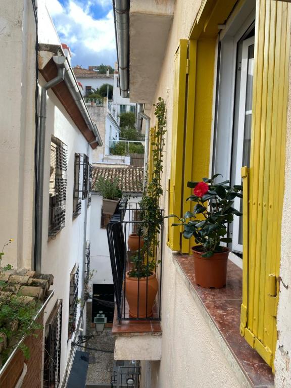 Apartamento Home Stagging New Life - 10