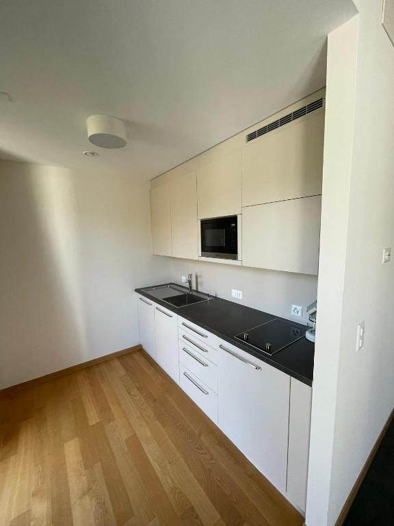 Kuchyň nebo kuchyňský kout v ubytování Gästehaus WOHNPARK St. Chrischona