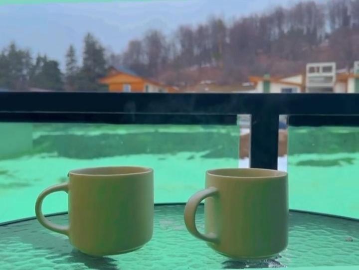 duas chávenas de café sentadas no parapeito da janela em snow forest bakuriani apartment eight em Bakuriani