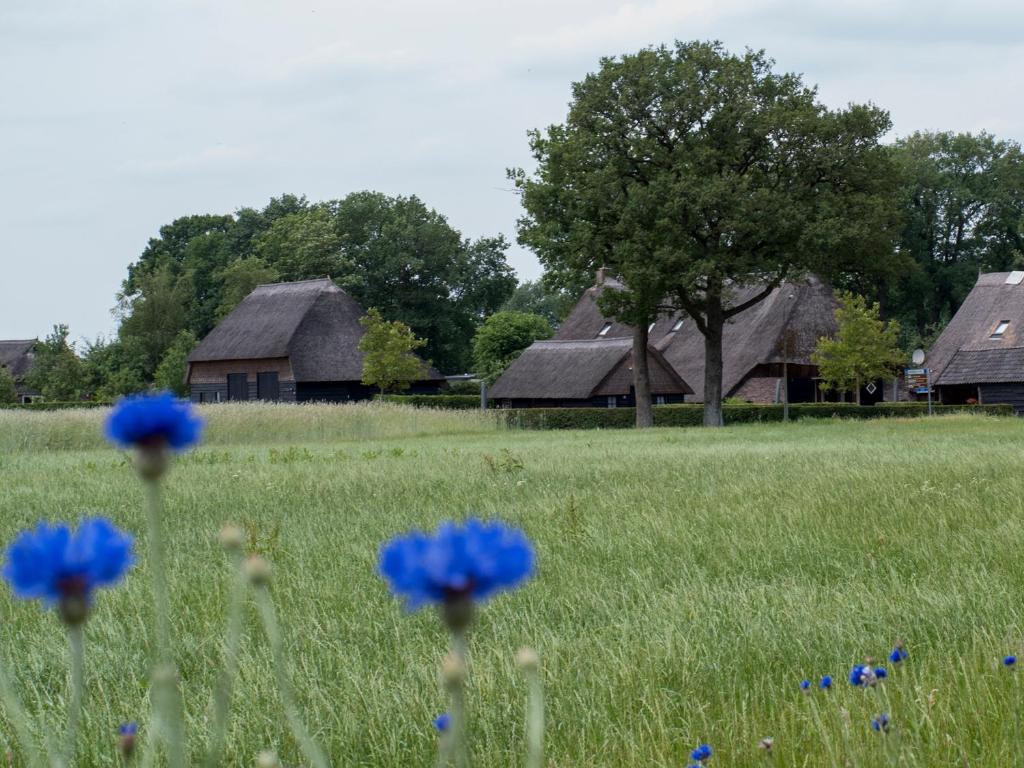 ein Feld mit blauen Blumen vor den Häusern in der Unterkunft Gastenverblijf Lheederhof in Dwingeloo
