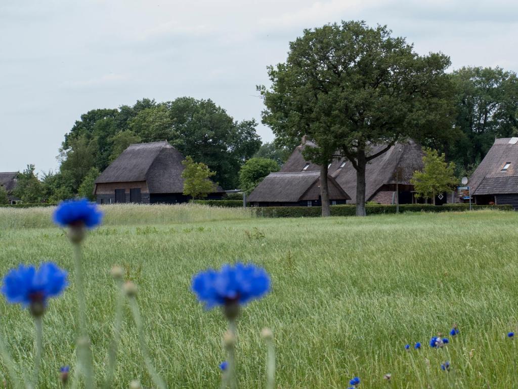 a field with blue flowers in front of houses at Gastenverblijf Lheederhof in Dwingeloo