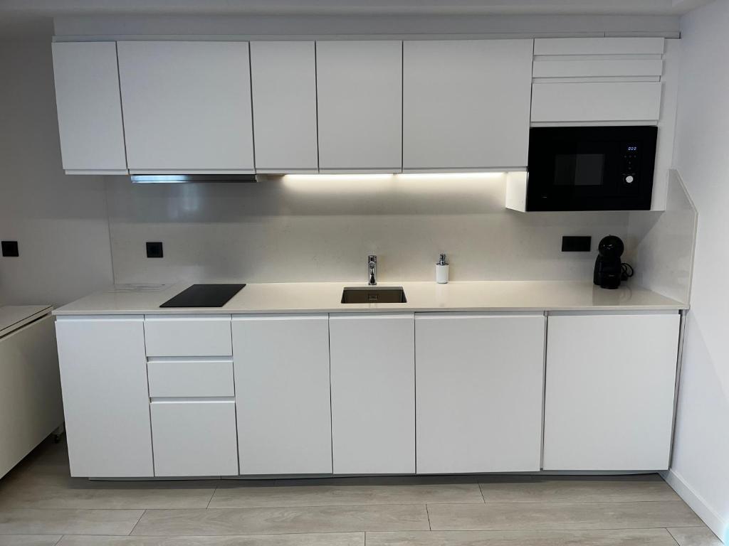 Kuchyň nebo kuchyňský kout v ubytování Apartamentos Mundaka