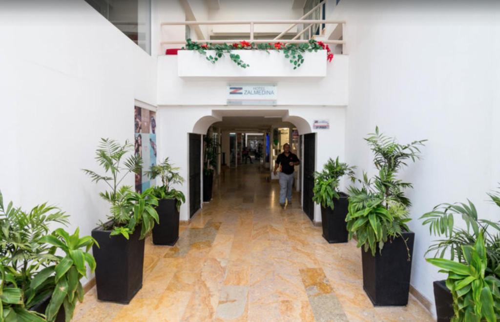Fotografie z fotogalerie ubytování Zalmedina Hotel v destinaci Cartagena