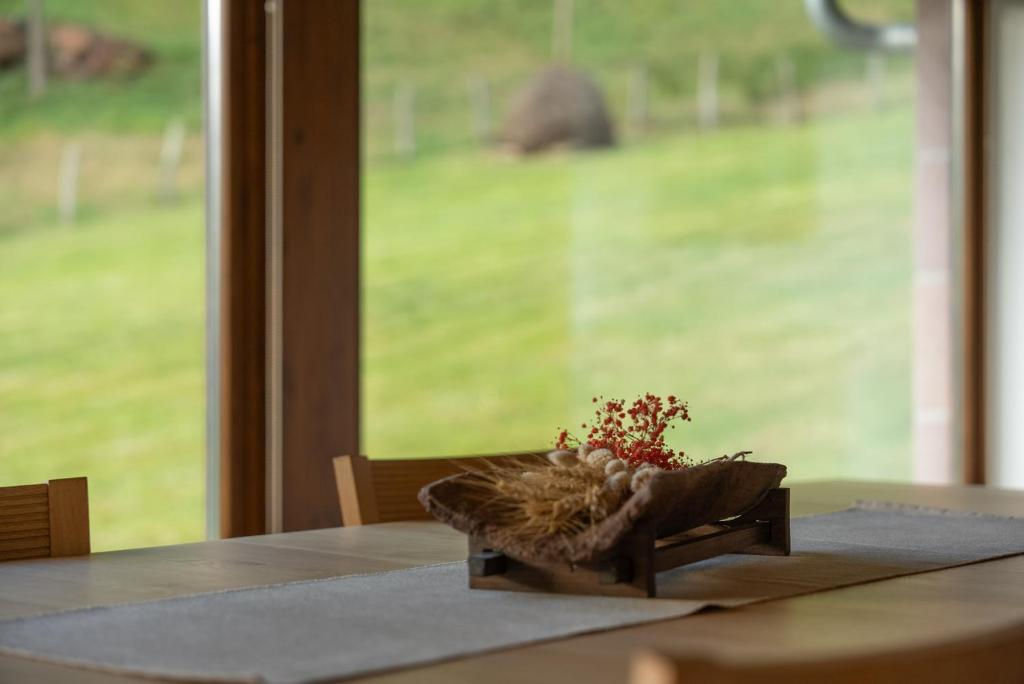 A garden outside Olagaraia - Adults Only