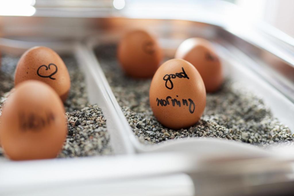 Hotel Central Hamburg - Resim 40