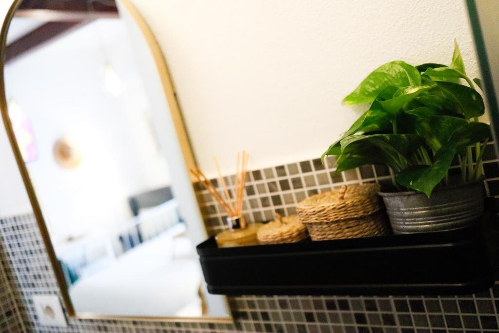 a plant sitting on a counter in front of a mirror at Guest House Camilla in Alghero