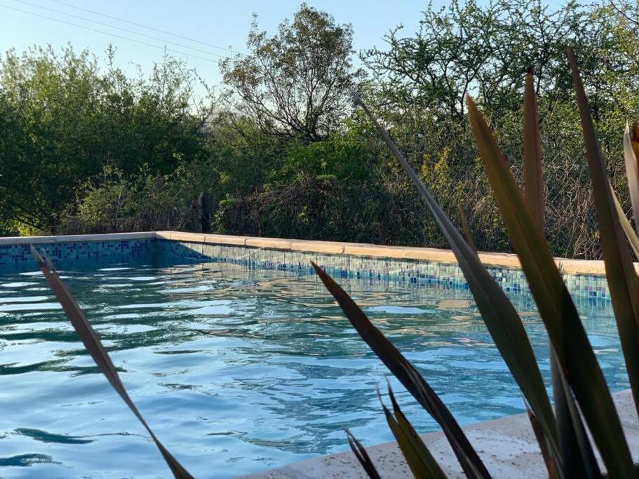 una piscina con acqua blu e piante di Casa para disfrutar! ad Agua de Oro