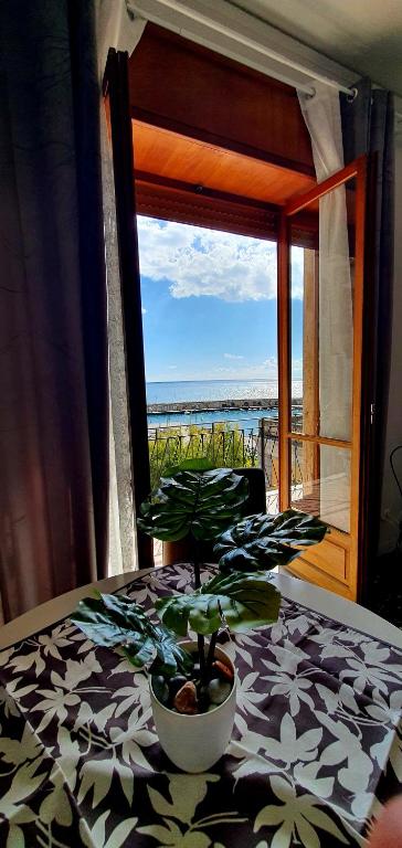 Táj az apartman közelében