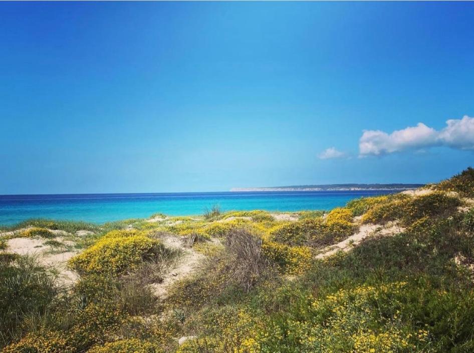 a view of the ocean from the beach at Casa Studio Migjorn, immersi nel verde a due passi dal mare in Es Calo