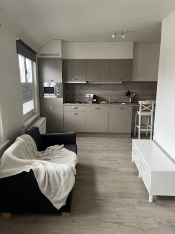 ein Wohnzimmer mit einem Sofa und einer Küche in der Unterkunft Sint-Amandstraat A4 in Gent