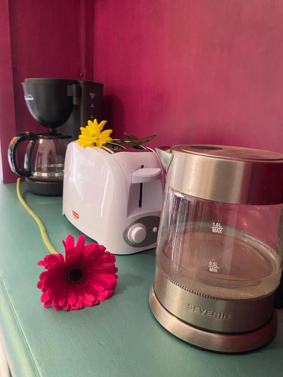 Apartamento Home Stagging New Life - 16