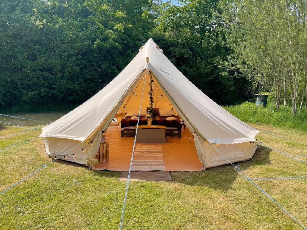 德羅伊特威奇的住宿－Ash Bell Tent，草场上的一个白色大帐篷