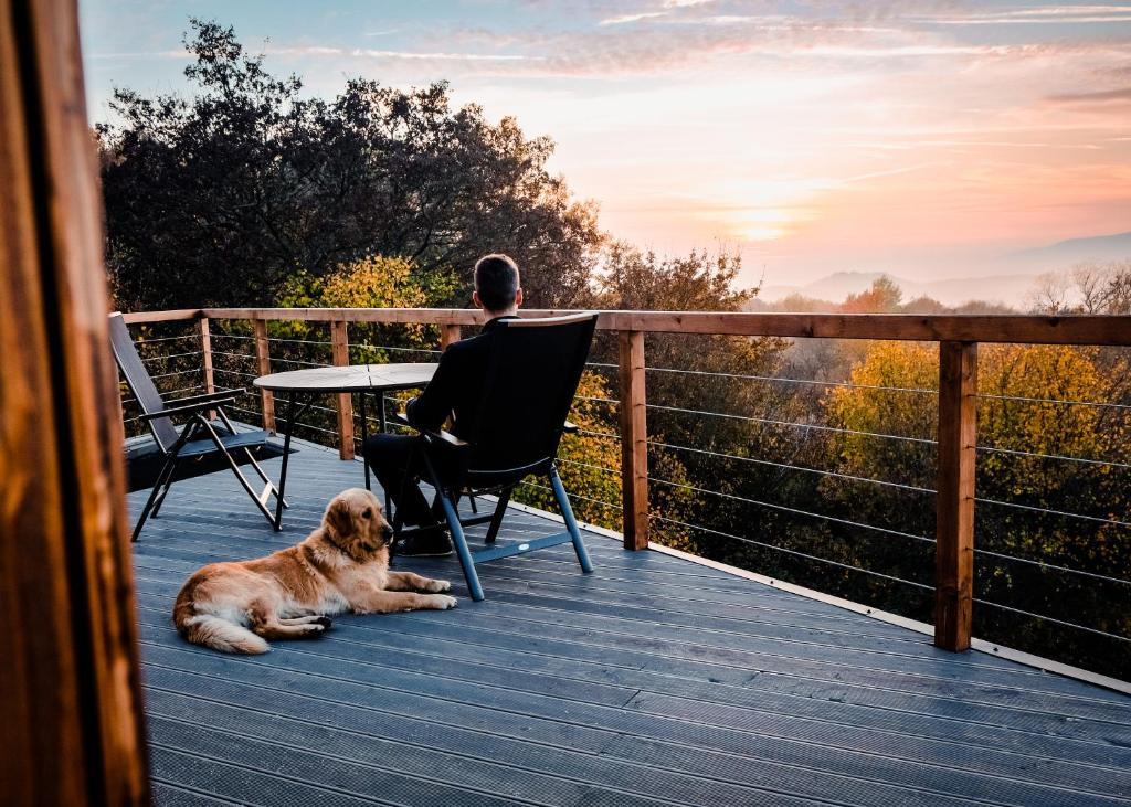 Domácí mazlíčci ubytovaní s hosty v ubytování Treedom