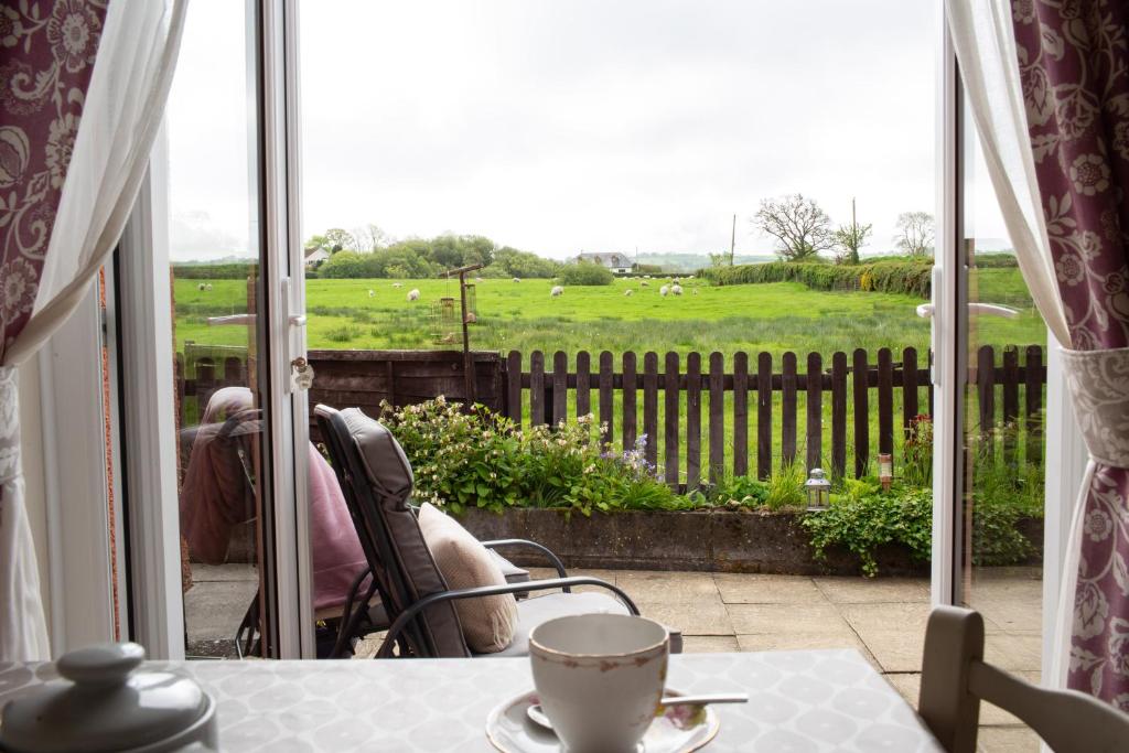 a person sitting in a chair looking out a window at a field at Goitre Bach Llwyncelyn in Llanarth