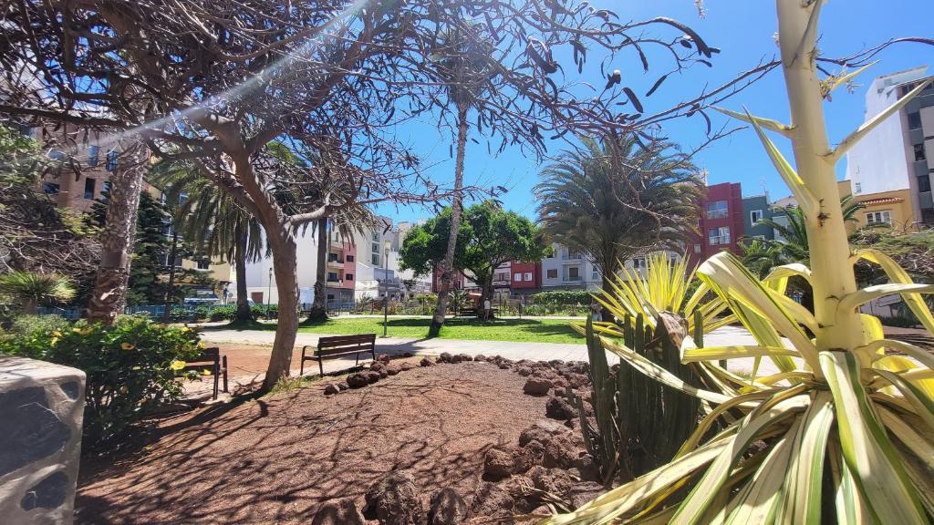 A garden outside Next to the beach 5 beds - Wifi by CanariasGetaway
