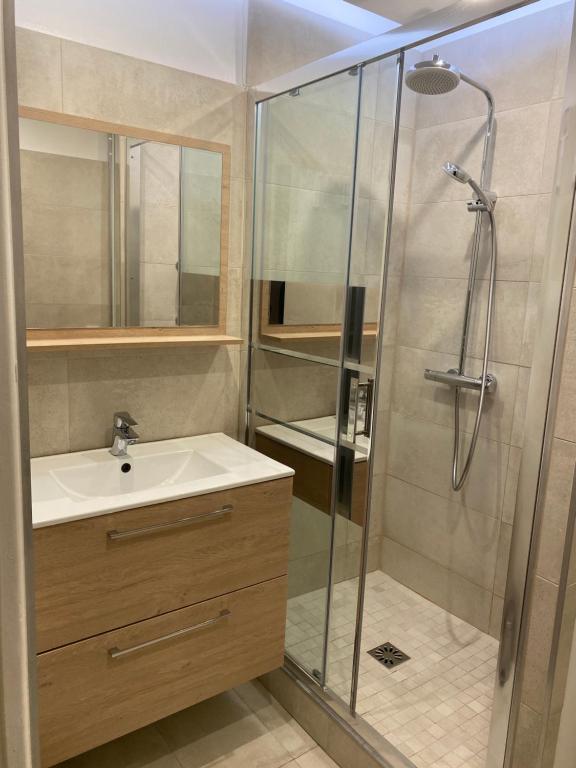 łazienka z umywalką i prysznicem w obiekcie Appartement vue sur mer, proche Croisette w Cannes