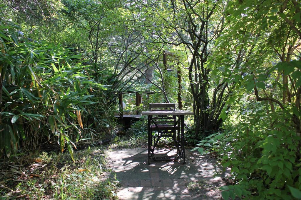 Zahrada ubytování Hotel Grenzfall
