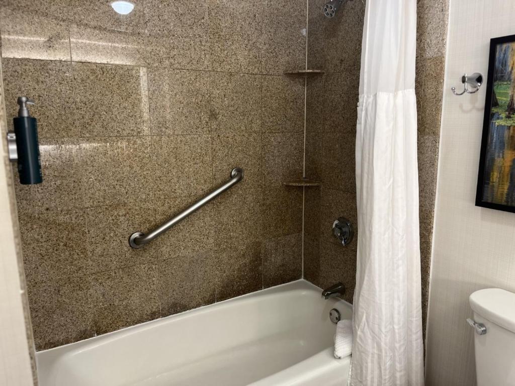 Hilton Ocala - King Room With Bath Tub - Mobility Access