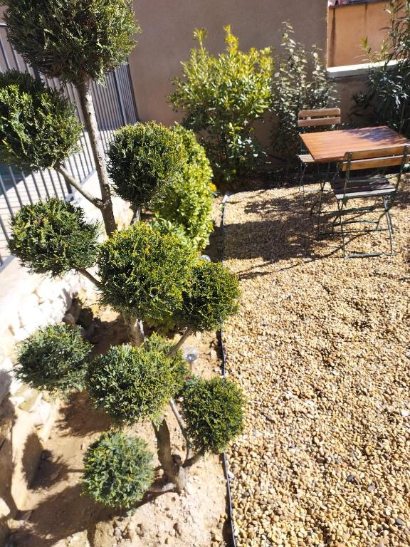 Zahrada ubytování Le mas de Roussillon chambre d'hôtes
