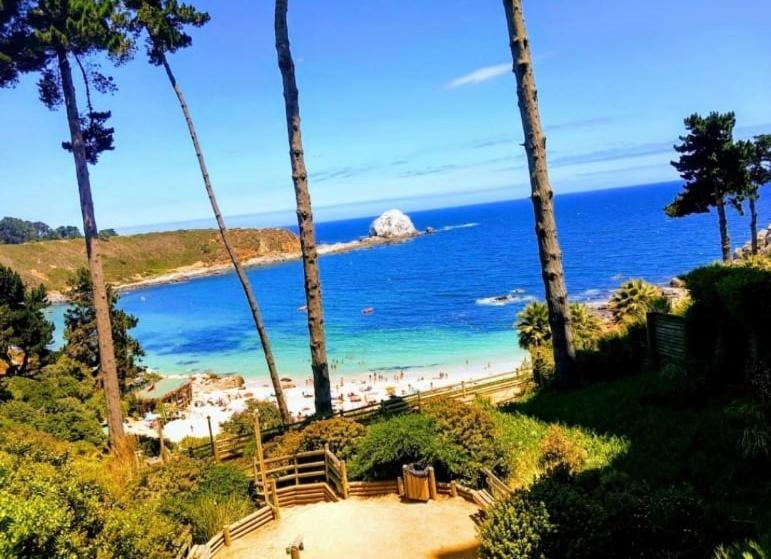 Gallery image of Pinares del Canelillo, Algarrobo, Chile in Algarrobo
