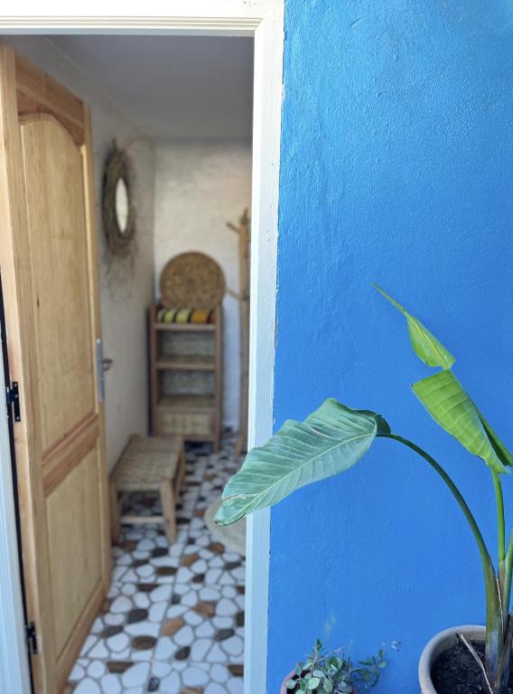 Fotografie z fotogalerie ubytování Let Us Surf v destinaci Agadir