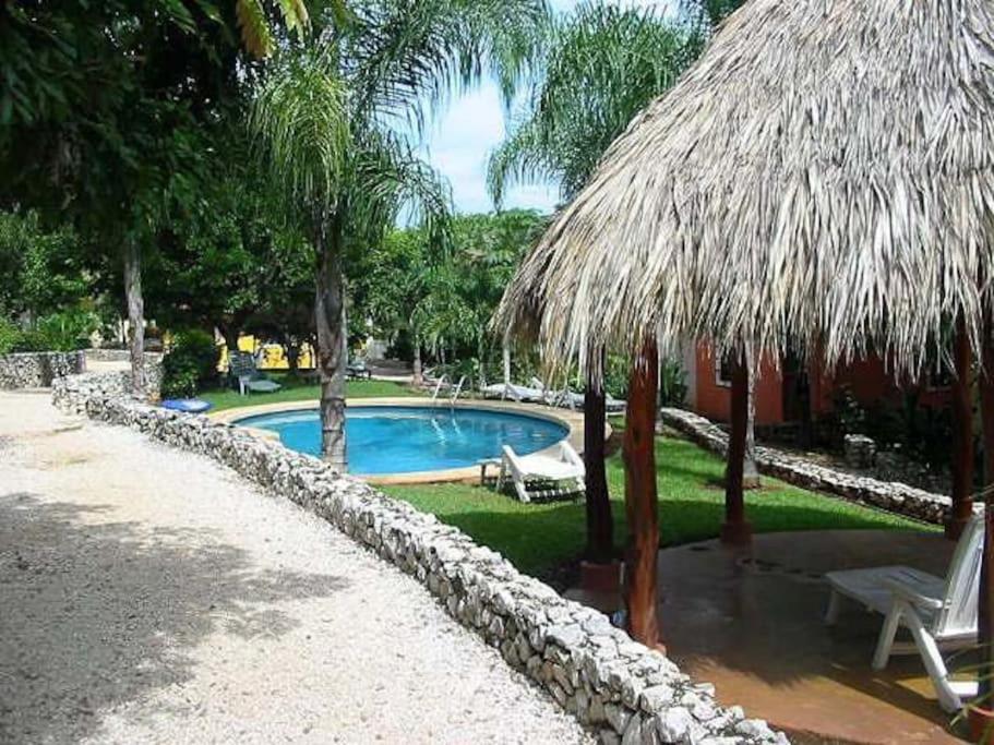 a resort with a swimming pool and a straw umbrella at Centric, clean, safe, with pool & monkey visitors in Tamarindo