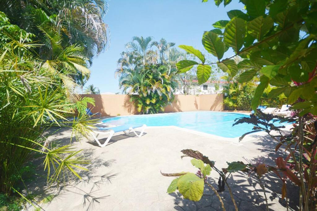 Swimmingpoolen hos eller tæt på Proche de tout, joli appartement