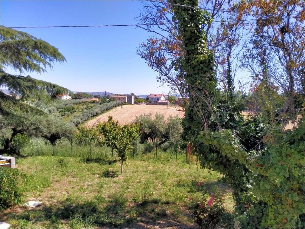 una vista de un campo desde un árbol en Villa Cecilia, en Scerni