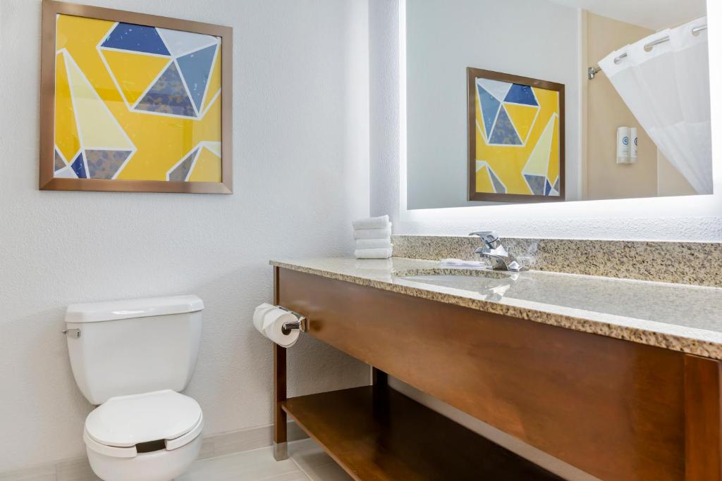 Comfort Inn & Suites Rapid City near Mt Rushmore - King Suite With Spa Bath