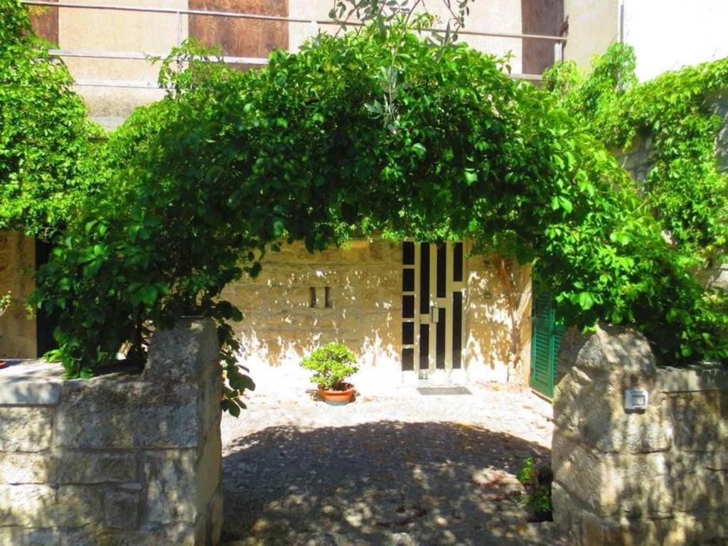 A garden outside Villa Luce