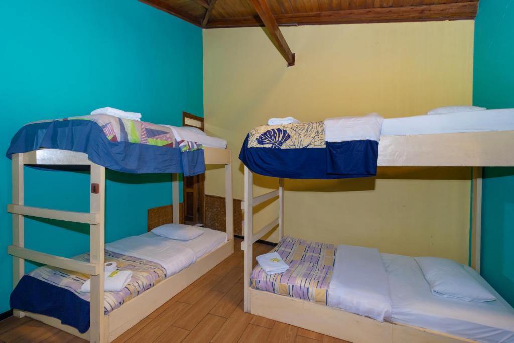Palanda nebo palandy na pokoji v ubytování Santa Cruz Backpackers Hostal