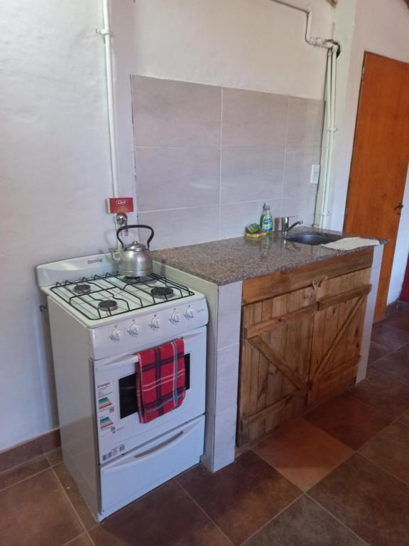 uma cozinha com um fogão branco e um lavatório em Depa centro comercial em Villa Pehuenia